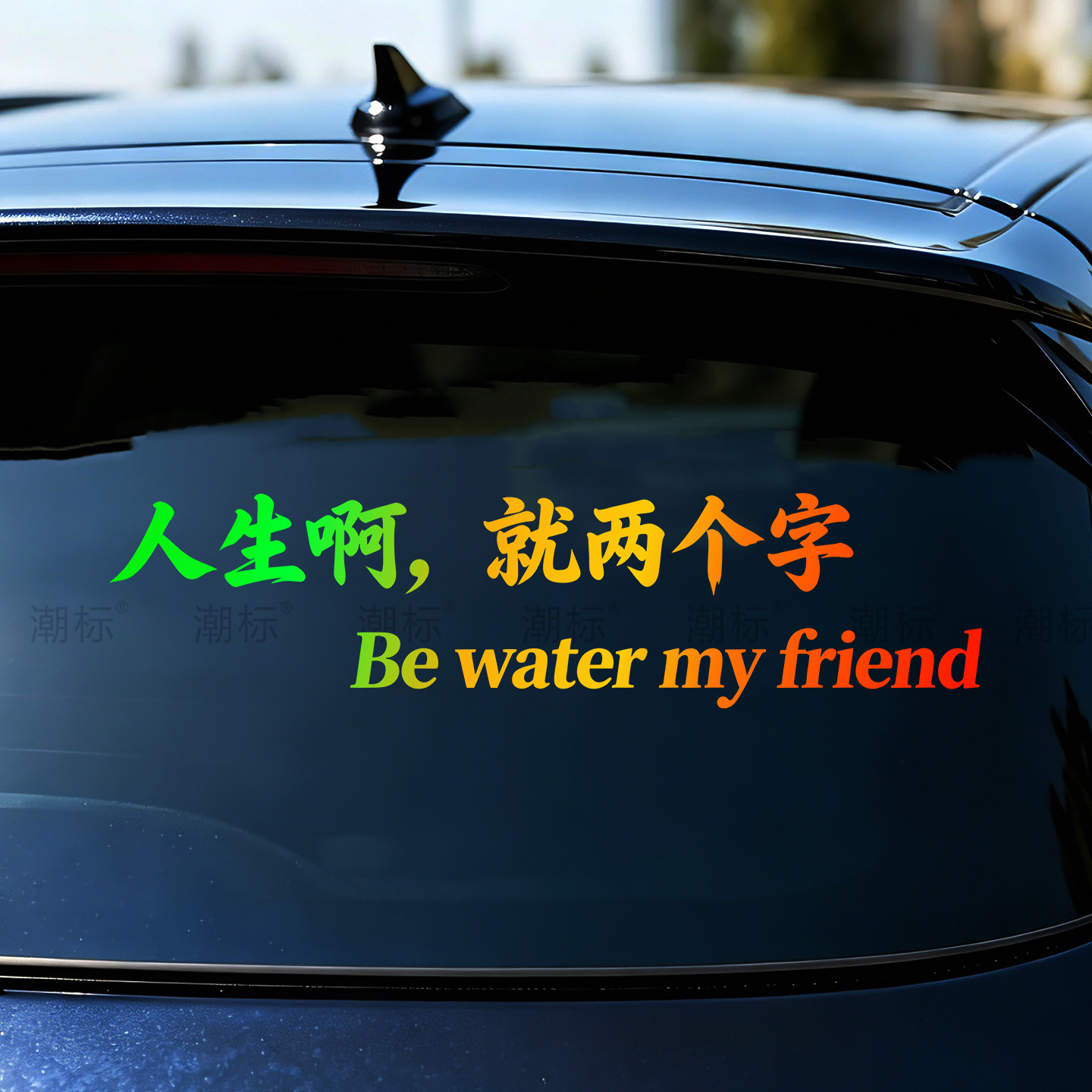 Be Water My Friend Car Sticker